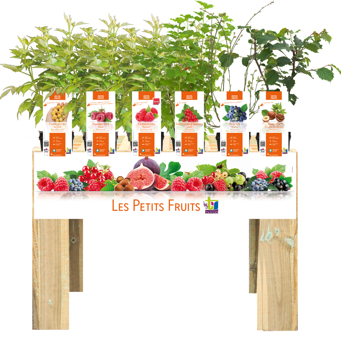 Meuble de vente à hauteur pour petits fruits