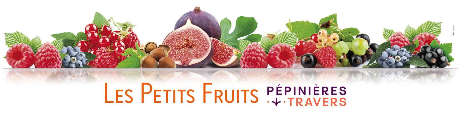 Signalétique Les Petits Fruits